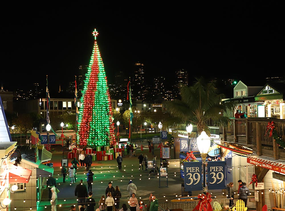 The Pier 39 Tree Show, in San Francisco