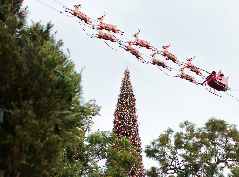 Christmas decorations in front of a Christmas tree