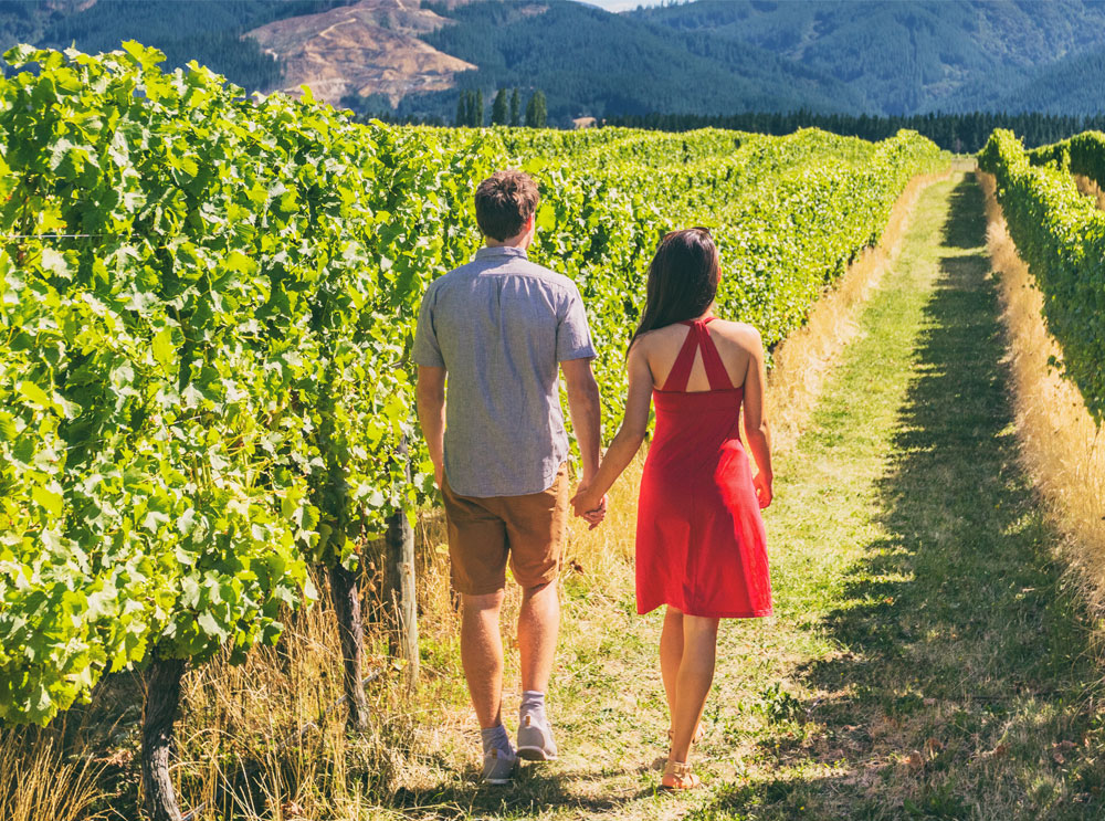 Paar hält Händchen beim Spaziergang durch einen Weinberg