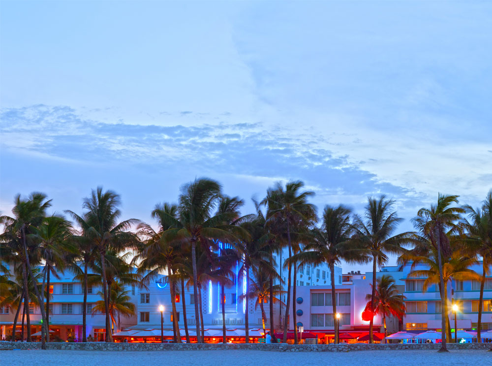 Palm trees on the beach at night