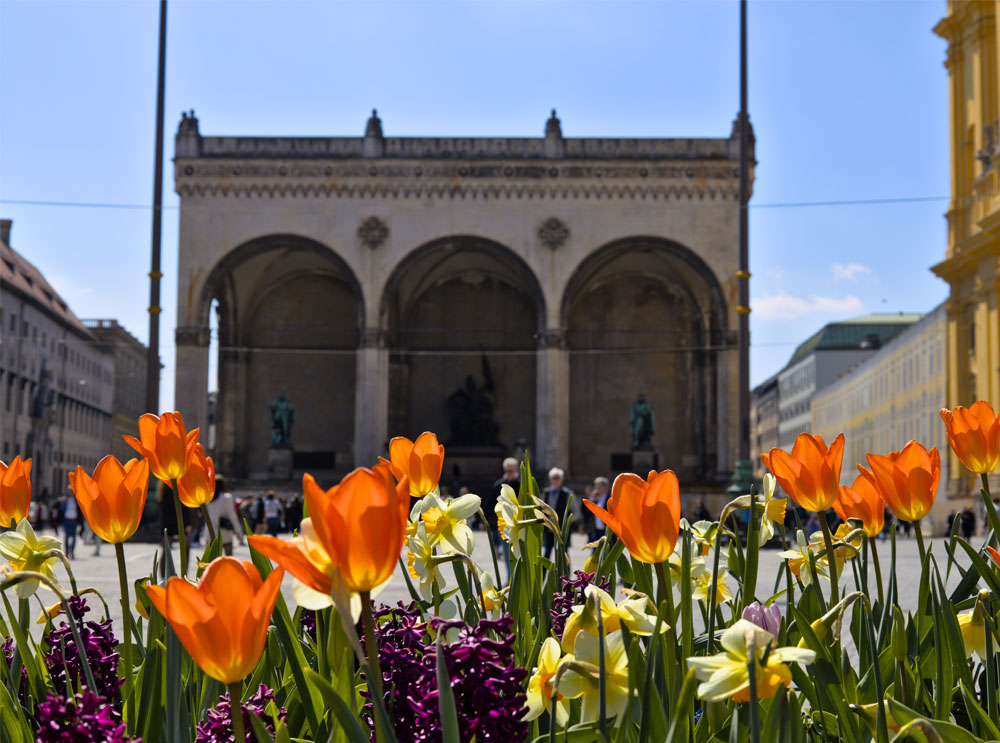 Blick auf den Odeonsplatz in München vor Blumen