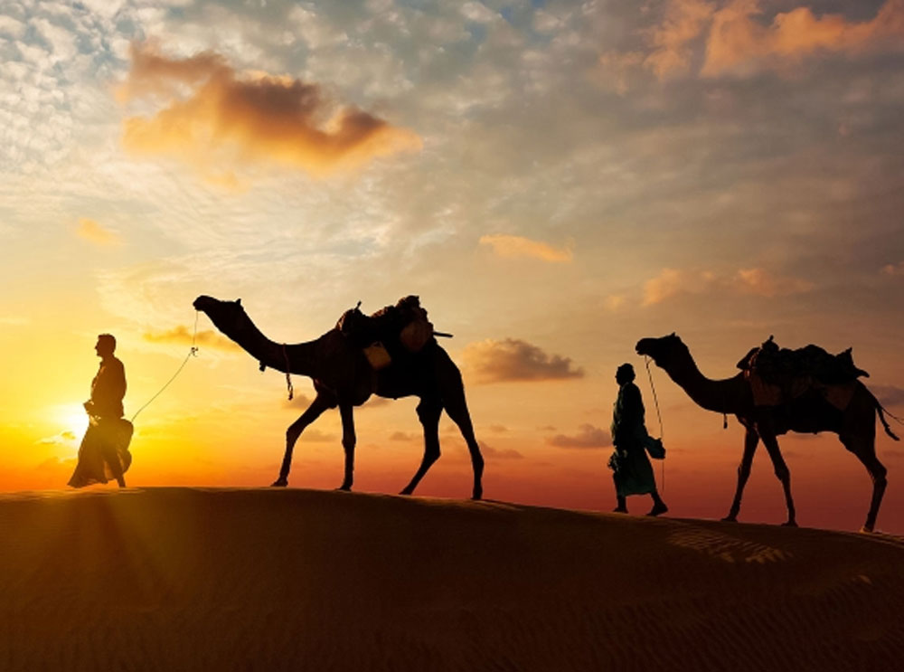 Zwei Männer mit Kamelen in der Wüste bei Sonnenuntergang