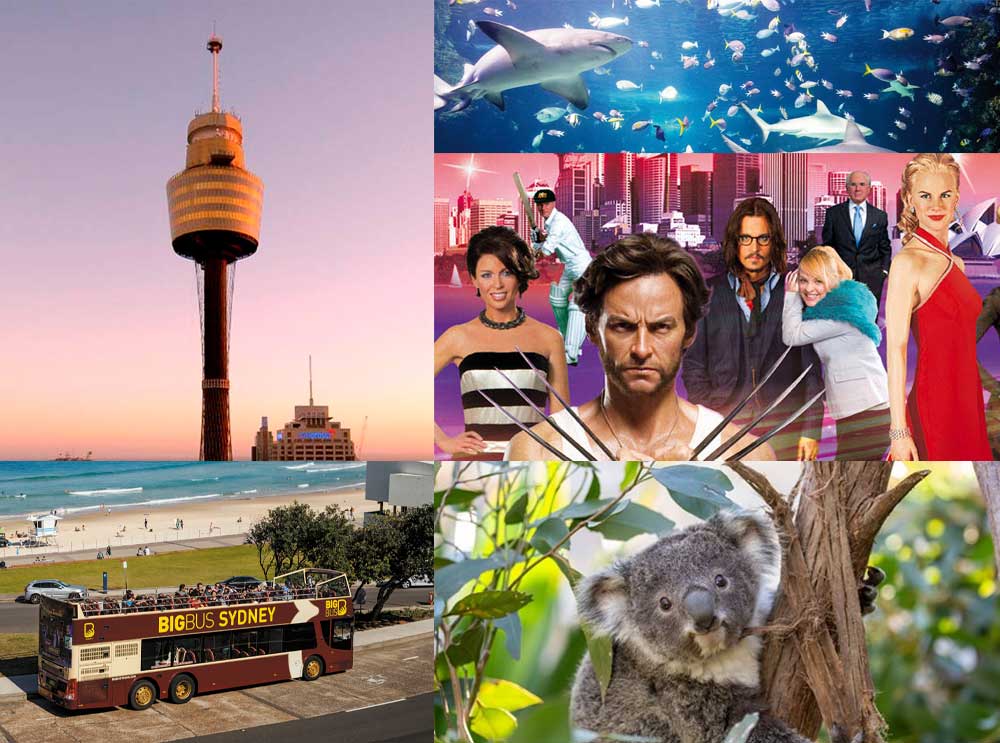 Collage of Big Bus Tours Sydney Big 5 Inclusions