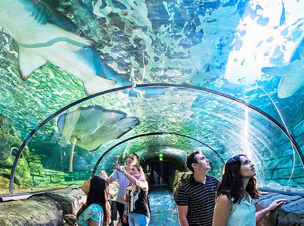 Sydney SEALIFE Aquarium