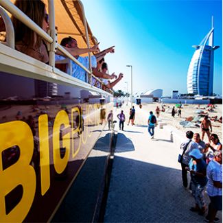 Abu Dhabi & Dubai Tour Package image