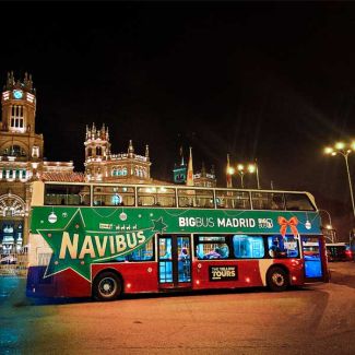 Madrid Navibus Tour image