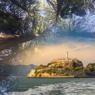 Muir Woods & Alcatraz Package image