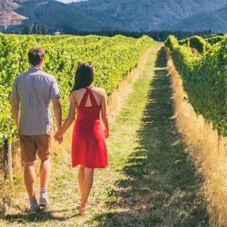 Wine Country Tours