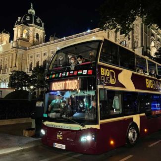 Tour Nocturno de Viena image