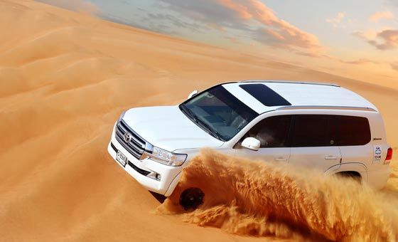 Evening Desert Fortress Safari