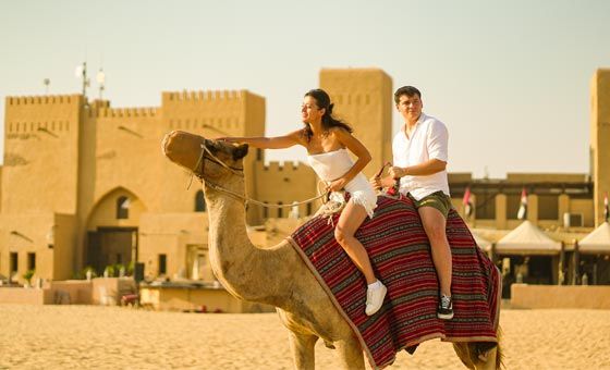 Morning Desert Fortress Safari Morning Desert Fortress Safari image
