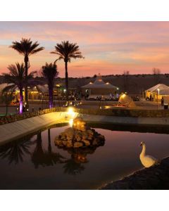 Dubai Discover Bus Tour Ticket + Caravanserai Desert Safari With Dinner & Dune Bashing image