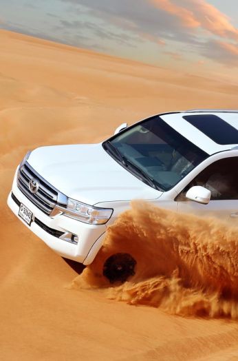 Evening Desert Fortress Safari