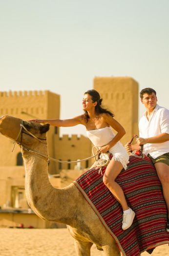 Morning Desert Fortress Safari Morning Desert Fortress Safari image
