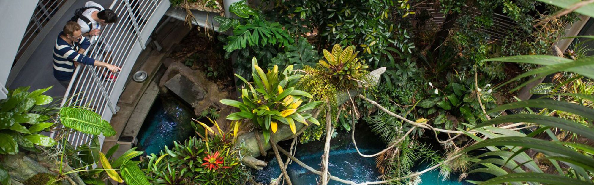 California Academy Of Sciences Tickets Big Bus Tours