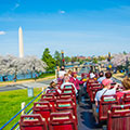 Big Bus Tours Washington DC People on the bus looking at the view