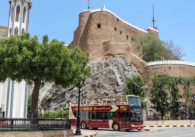 Big Bus Tours Muscat with palm trees