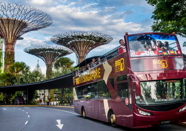 Big Bus Tours Singapore passing the Gardens By The Bay Supertrees