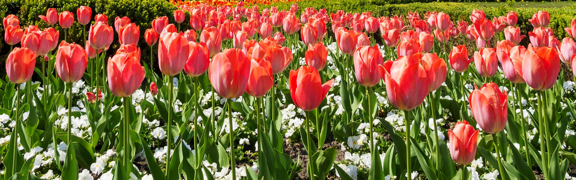 Best Places to Visit in April Big Bus Tours