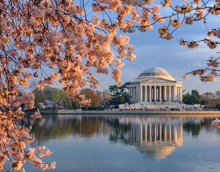 Was Man In Washington DC Machen Kann Big Bus Tours