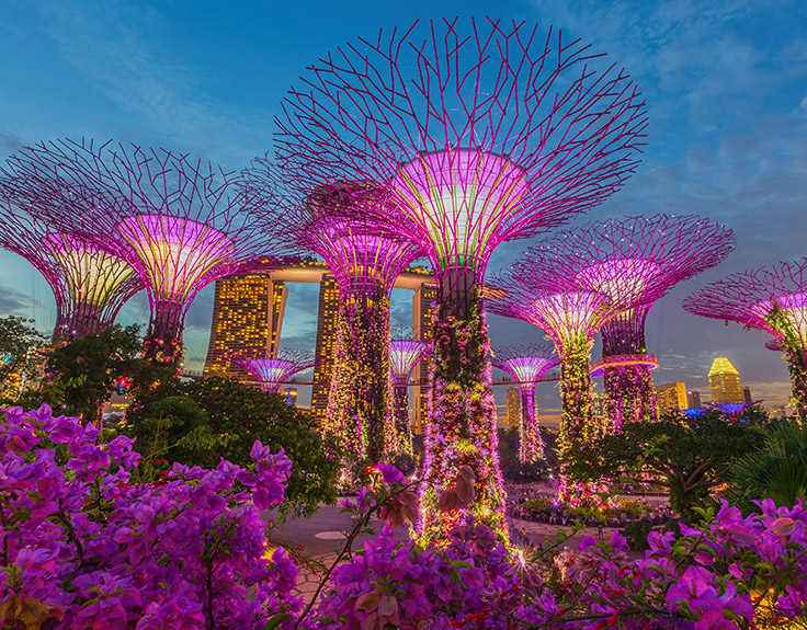 Botanic Gardens in Singapore | Big Bus Tours