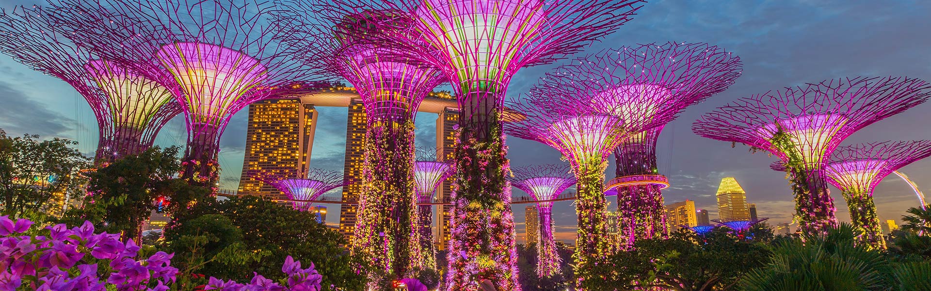 Gardens By The Bay Singapore Attractions Big Bus Tours