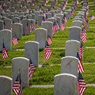 Big Bus Tours Washington DC: Nationalfriedhof Arlington Grabsteine - Blaue Route