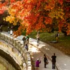 Walkers on the Stanley Park Seawall in Vancouver