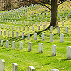 Big Bus Tours Washington DC: Nationalfriedhof Arlington - Rote Route