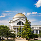 Big Bus Tours Washington DC Natural History Museum Red Route