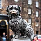Big Bus Tours Edinburgh Greyfriars Bobby & Greyfriars Kirk Red Route