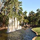 The Botanic Gardens in Darwin
