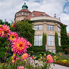 Big Bus Tours Munich Nymphenburg with flowers