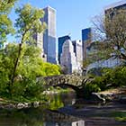 Central Park a New York