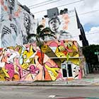 Aufnahme eines Wandbildes in Wynwood, Miami