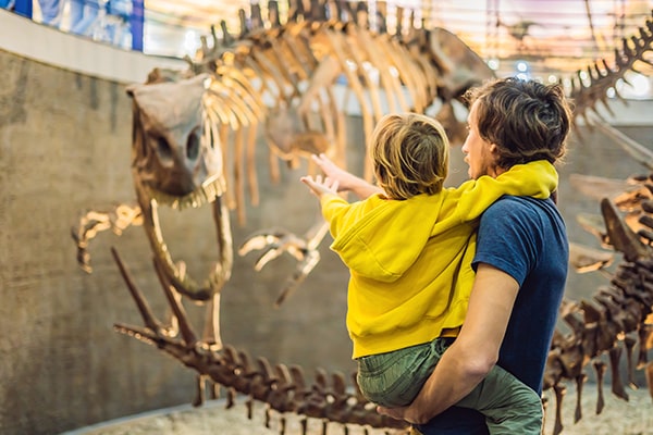 Make a pilgrimage to the Natural History Museum