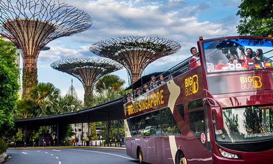 City Tour (Yellow Line)