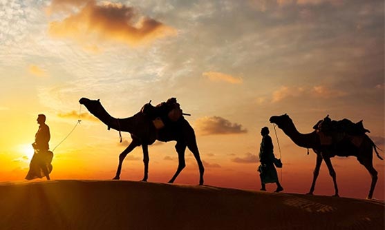 Caravanserai Desert Safari Overview