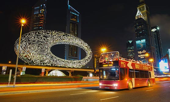 Panoramic Night Tour