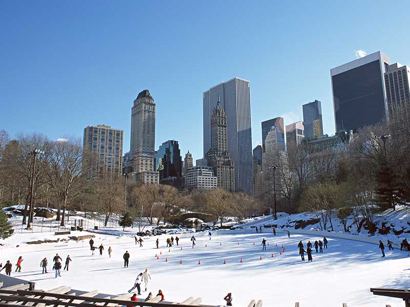 Central Park, New York in the snow