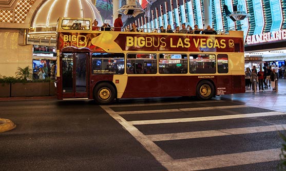 Neon Museum Night Tour