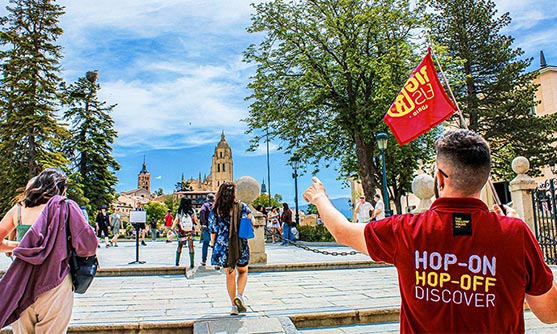 Visitas guiadas de Segovia y Ávila