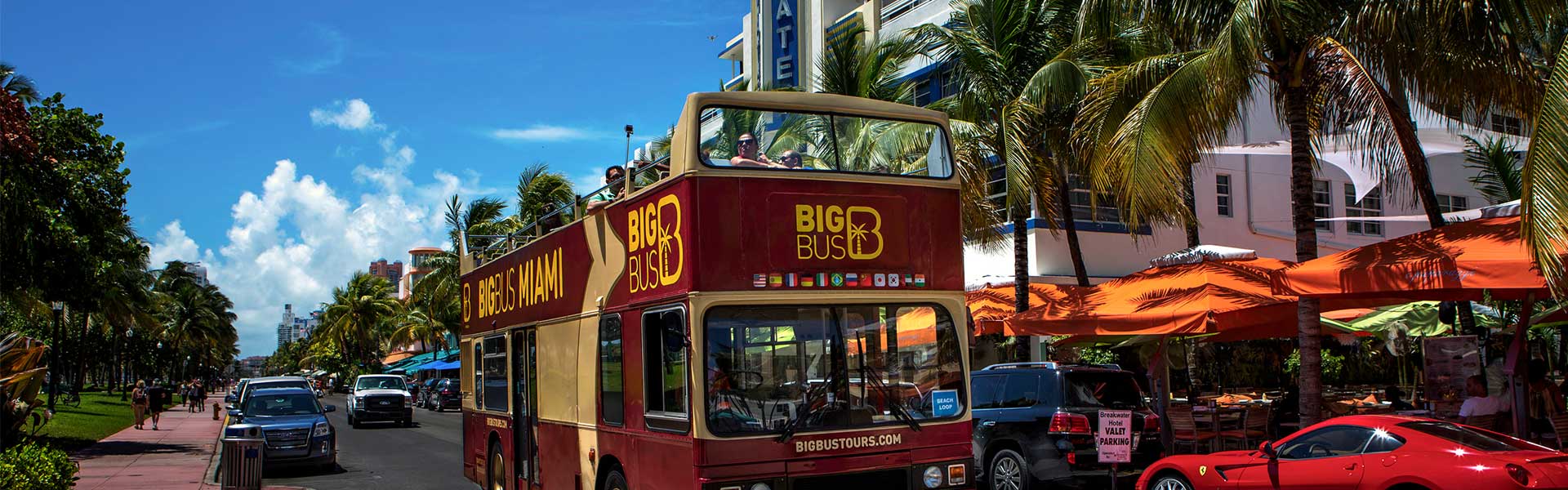 big bus city tours miami