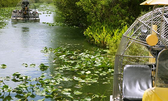 Everglades Tour: Important Information