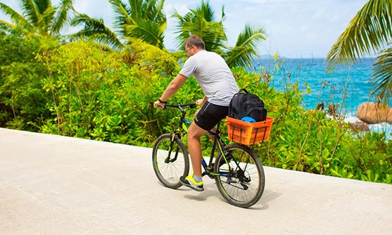 Alquiler de bicicletas gratuito