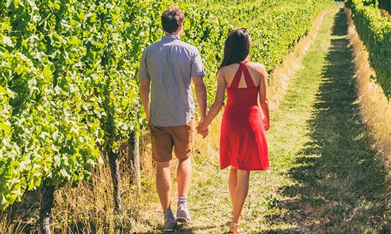 Important Information about Wine Country Tours