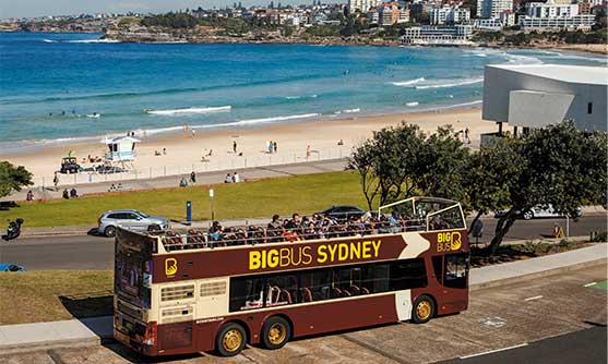 Bondi & Bays Tour (Blue Route)