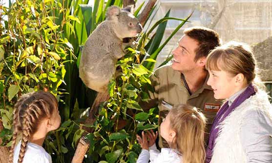 WildLife Sydney Zoo