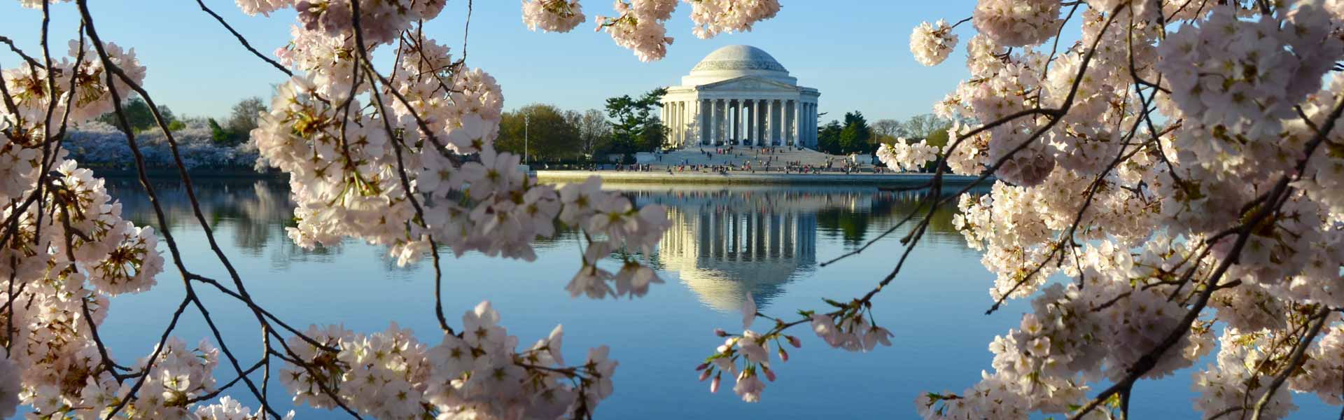 washington-dc-sightseeing-tours-big-bus-tours