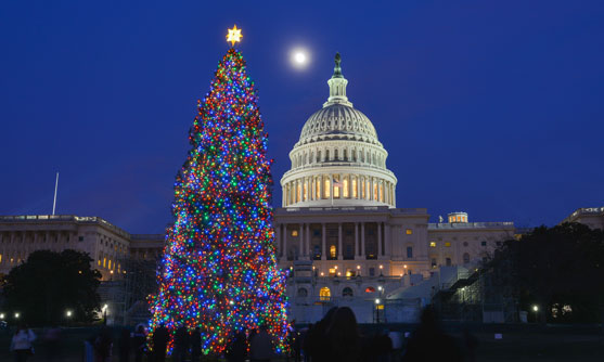 About the DC Holiday Tour